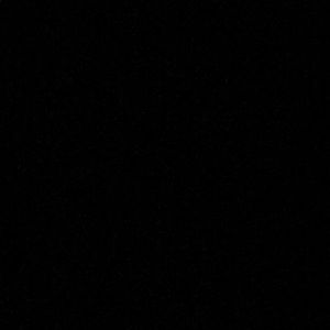 Meet your Posher, Jamela